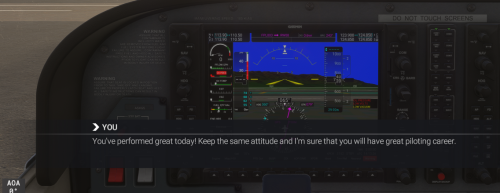 FlightSimulator2024_74SvjtyhSq.png